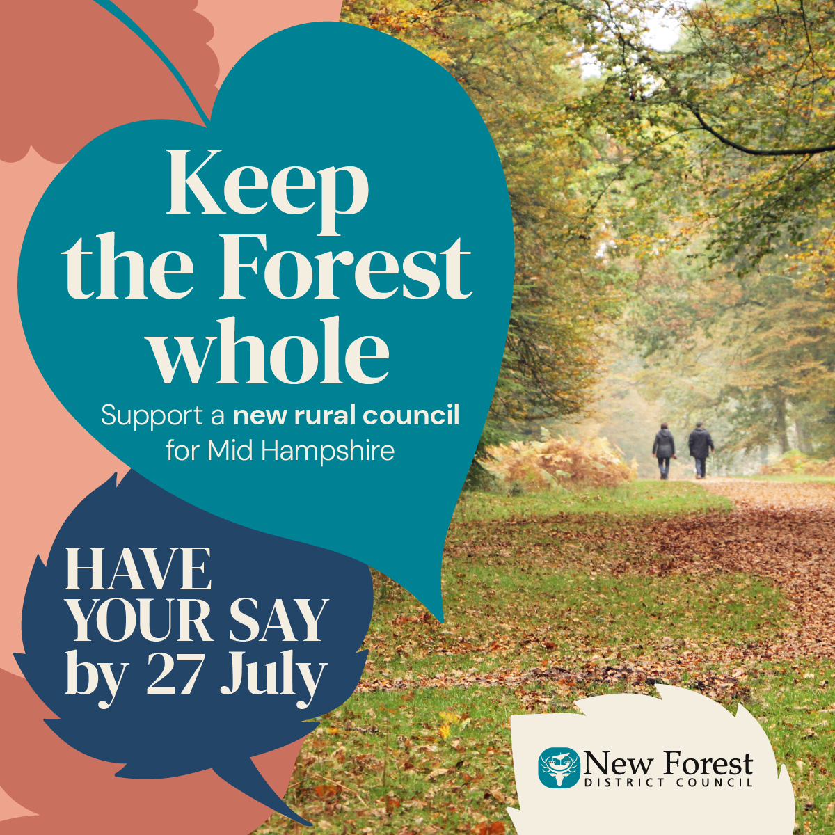 New Forest Meta Ad